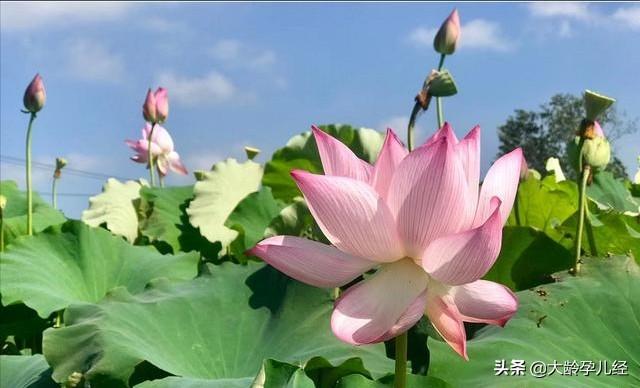 小心，你的吻或许会害了宝宝，别轻易吻宝贝