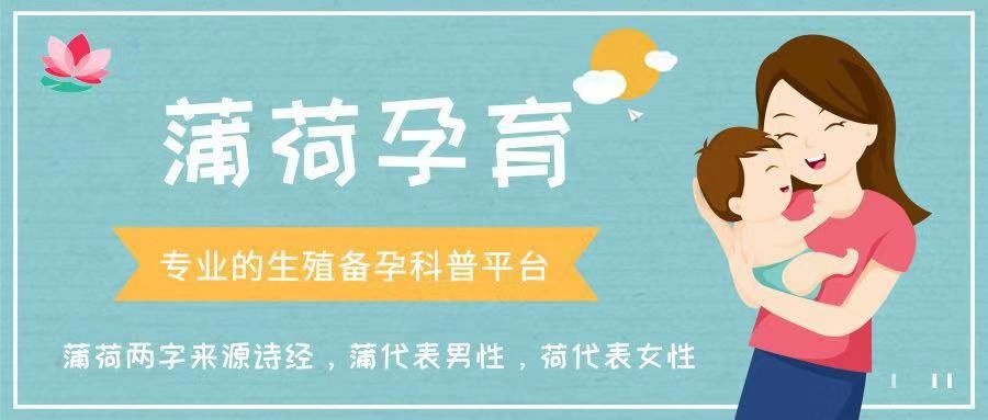 备孕想准确知道排卵期？用好阴超监测排卵让你怀孕事半功倍！