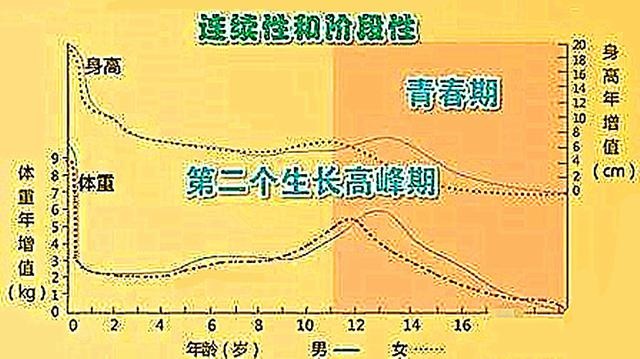 孩子长得高，常吃小公鸡？到底靠谱吗？