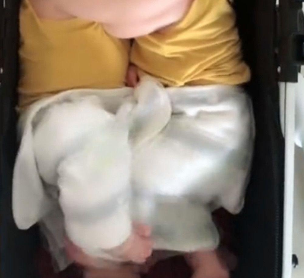 双胞胎兄弟在推车里啃手玩，接下来的画面，让妈妈笑得直不起腰