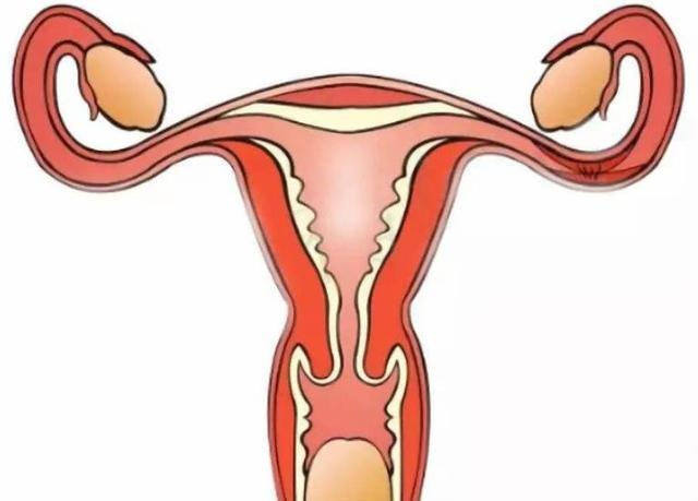 你流过产吗？女人一生能承受几次？别忽视了