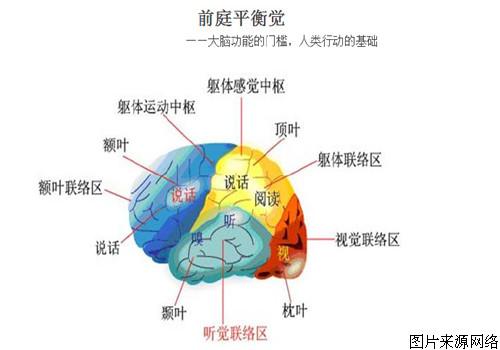 让人的大脑告诉你，如何养出一个聪明孩子？
