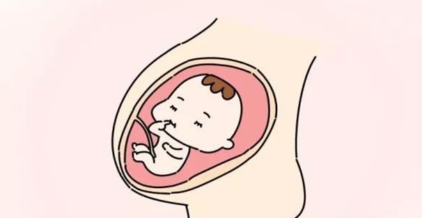 辟谣：4种判断生男生女的方法是谣言