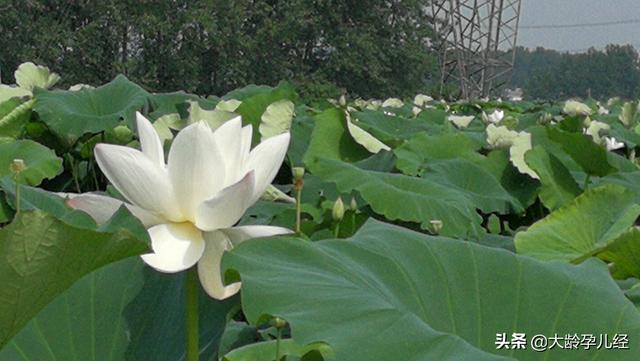 这八种情况可以帮助您判断新生儿大便是否异常，早知道早应对