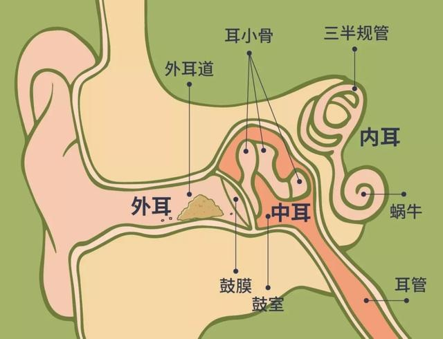 那些爱掏耳朵、挖鼻子的人，后来怎么样了？