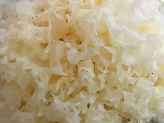 怀孕阶段，孕妈要多吃4物，排出胎毒，宝宝更白更漂亮