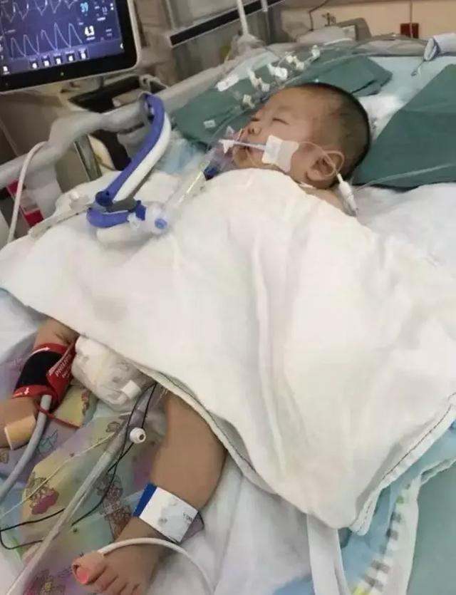 转发救人！温哥华16个月华人宝宝命在旦夕 求大家伸出援手帮帮忙