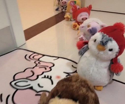 “小兽医宝宝”坐诊走红，最后的奶爸一脸生无可恋：惹不起惹不起