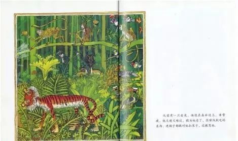 【有声绘本】《虎皮毯子》