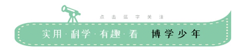 眼力测试，测测你家孩子的右脑发达程度？｜脑力体操