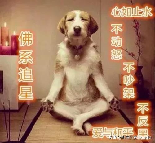 我与我家自闭症谱系女王的成长历险记（开学记）