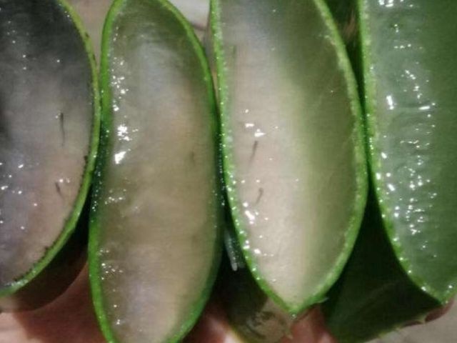孕妇怀孕后尽量多吃4种食物，或能有效补充叶酸，促进胎儿发育