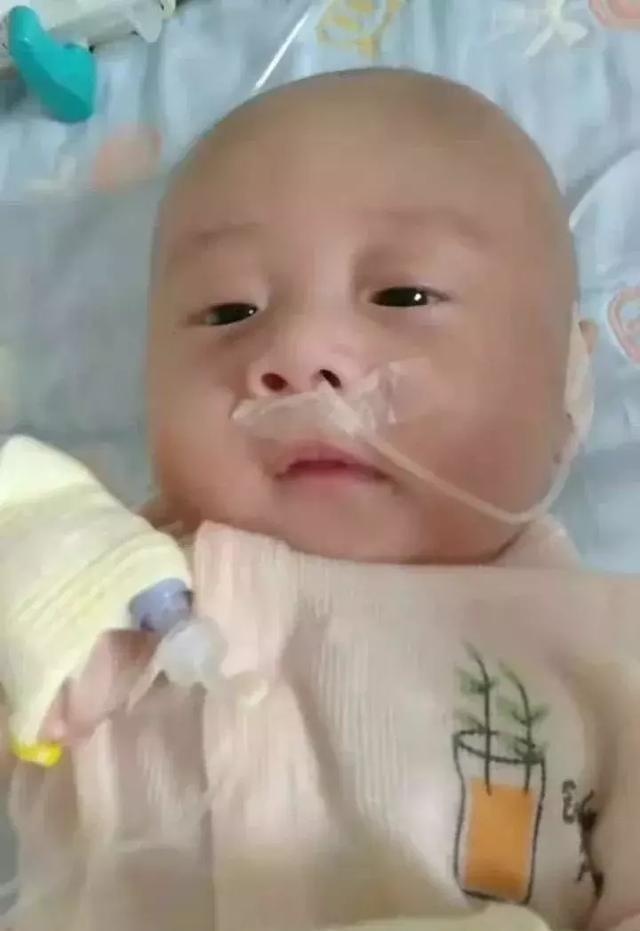 “救救我的孩子！”渭南塬上婴儿患先天性心脏病及肺炎，急需救治！