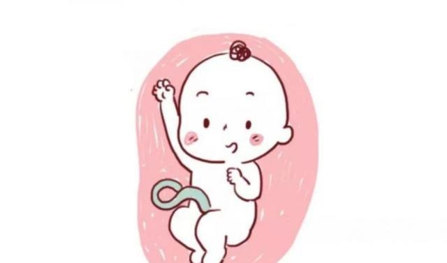 胎宝宝每天在妈妈肚子里干嘛？宝宝真的超忙，不信来看……