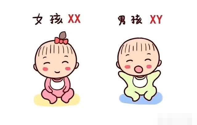 有的人越到孕后期越想知道胎儿性别你怎么看？看完大开眼界！