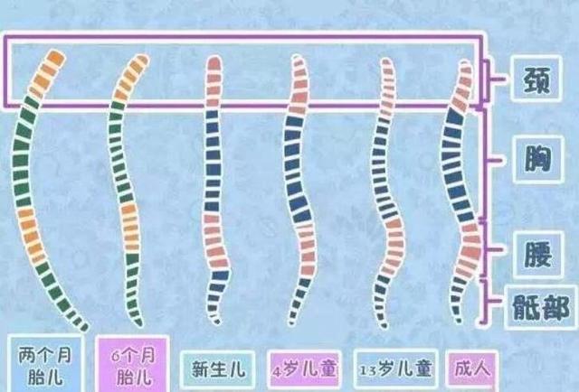 “专家”说宝宝6个月前不能竖抱？这样抱宝宝，不仅聪明还舒服