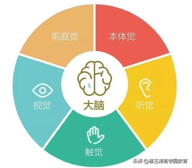 孩子的“感觉统合”究竟是怎么一回事？