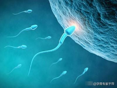 青岛助孕专家于萍：关于排卵的一些常见问题
