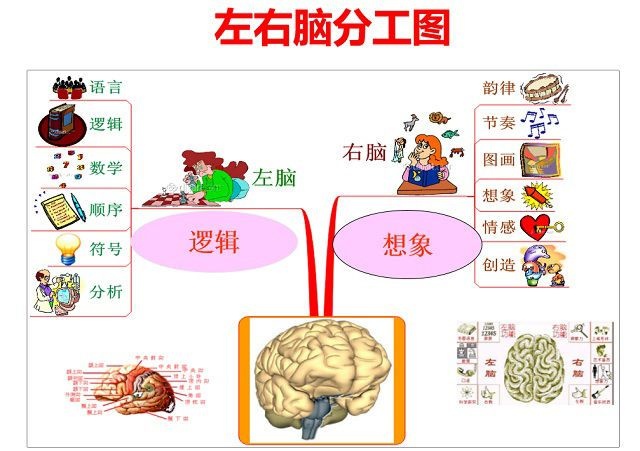 人类对大脑认识不足10%，你了解自己的大脑有多少？