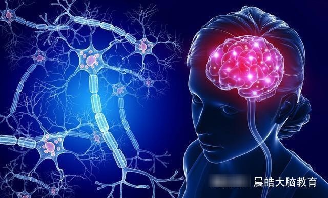 人类对大脑认识不足10%，你了解自己的大脑有多少？