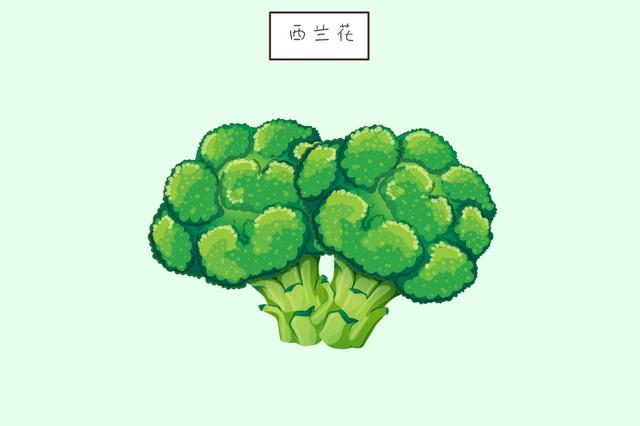 ?别管家里再穷，几种食物多给孩子吃，否则会体质差，个子也不高