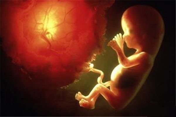 预防胎儿畸形，首先你得做到这四点！别等孩子生下来才懊悔