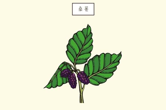 ?立秋之后，少给娃吃这4种水果，特别是第三个，对娃成长没好处