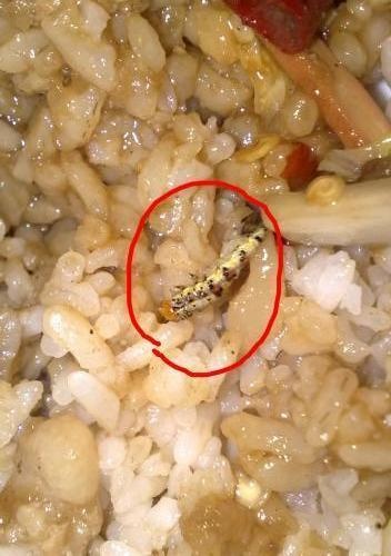 老师拍孩子吃午饭照，三秒后撤回，家长眼尖发现其中猫腻