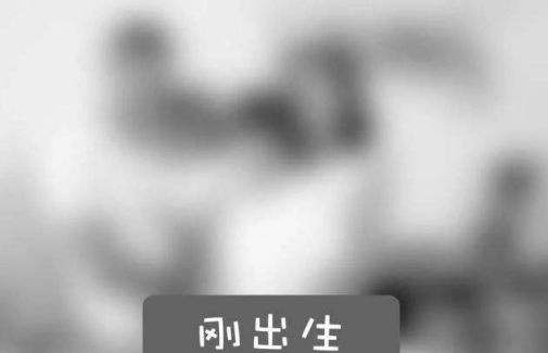 辟谣来啦！宝宝出生第一眼看谁就像谁？你家宝宝第一眼看的谁？
