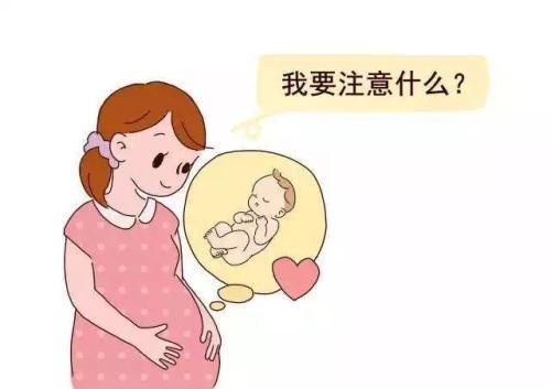 呵护胎儿的“小房子”子宫，怀孕前，有5件事备孕女性千万不要做