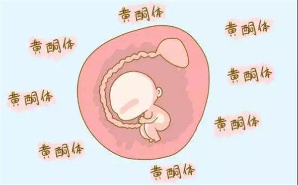 如何补充孕酮才能提高成功率呢？