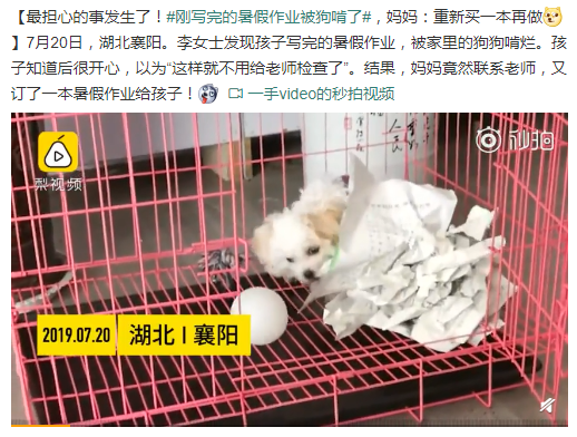 暑假快结束作业还没写完？真正需要治理的不是拖延症而是自律！