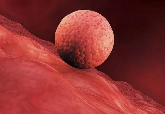 哺乳期内会再次怀孕吗？产后不久又怀孕，可能会带来3个问题