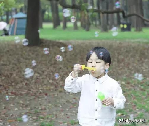 孩子为什么会争宠？真相再这里
