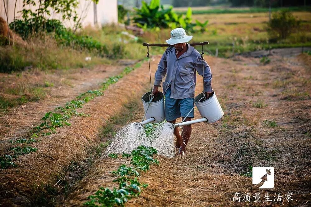 母子1死1休克，这种“致命菌”你家可能也有，千万谨慎！