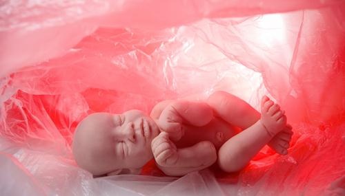 孕期总感觉肚子一跳一跳的，是胎动？错，也许是胎宝在忙这件事