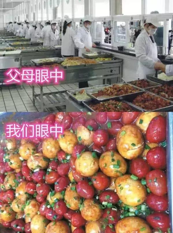 同是学校：你眼中VS父母眼中，宿舍忍了，看见食堂：给条活路吧