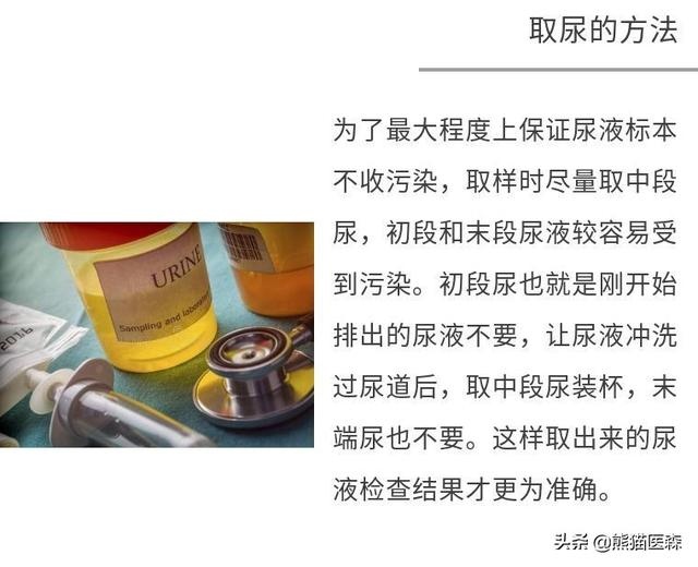 尿常规又有了白细胞，我该怎么办？