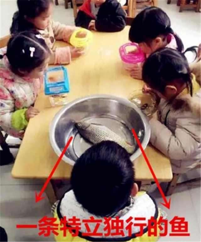 孩子在家愁，上学也愁，你被幼儿园布置的手工作业弄“疯”过吗？