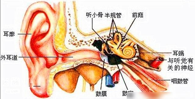 经常戴耳机真的会伤耳朵吗？经常戴耳机的要注意了，答案让人意外