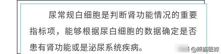 尿常规又有了白细胞，我该怎么办？