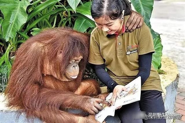 这就是「小盆友」们开学时的样子啦