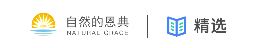 开学大礼包：让孩子成才就这么简单！