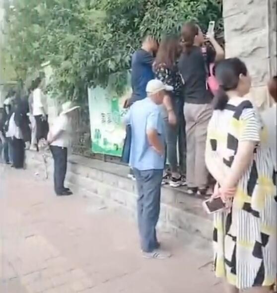 3岁娃第一天上幼儿园就被“投诉”，娃说句话，老师气炸妈妈笑抽