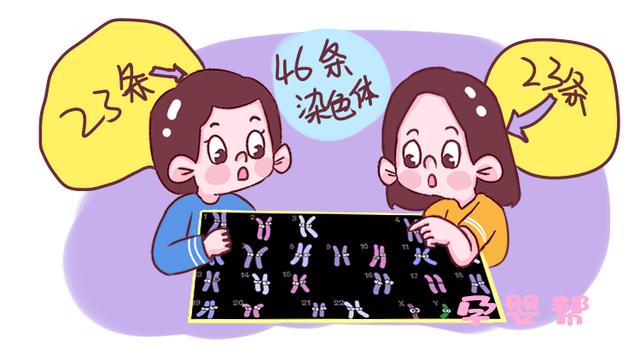 从血缘上来讲谁才是我们亲的人？是父母兄妹，还是孩子？你想不到