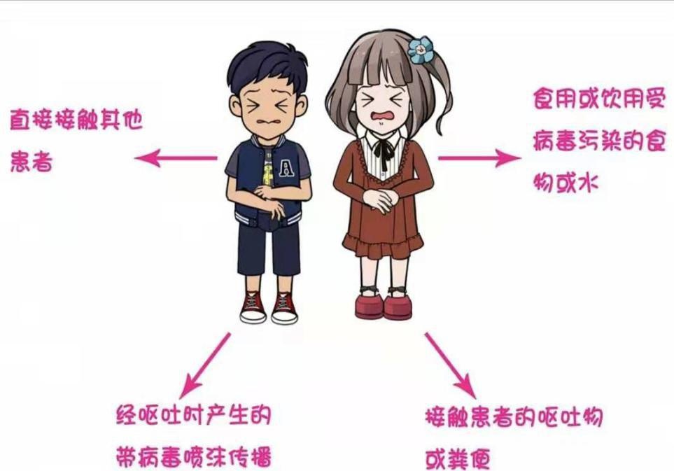 秋季腹泻，“轮”流来袭应该如何应对?