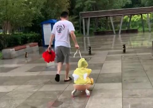 奶爸带娃玩“扭扭车漂移”，网友：没有危险时，爸爸是最大的危险