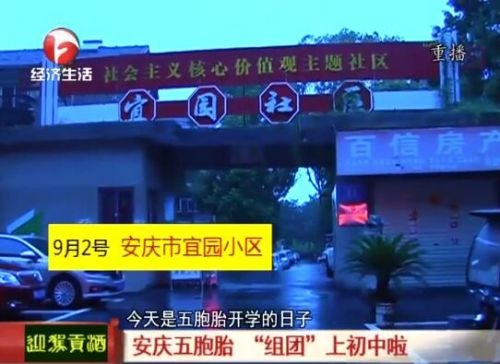 爸爸为作业不同让5胞胎分班 网友替父亲担忧开家长会人手
