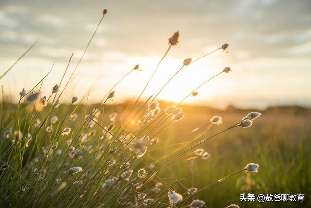 基础篇∣打造孩子的专注力，先从改变环境开始，迈开这一步很重要