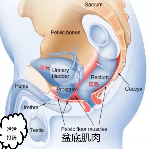 小婴儿大便费力是便秘吗？怎么办？
